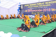 Guru Nanak Public School-Annual-Day